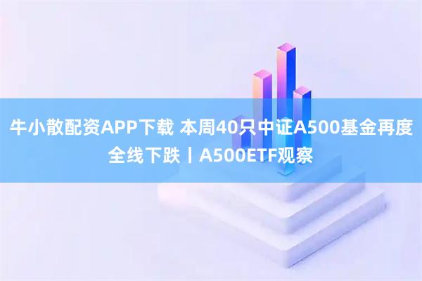 牛小散配资APP下载 本周40只中证A500基金再度全线下跌丨A500ETF观察