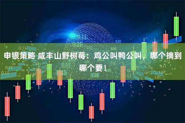 申银策略 咸丰山野树莓：鸡公叫鸭公叫，哪个摘到哪个要！