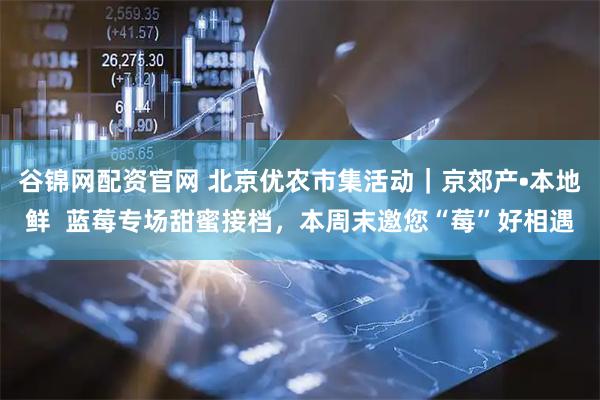 谷锦网配资官网 北京优农市集活动｜京郊产•本地鲜  蓝莓专场甜蜜接档，本周末邀您“莓”好相遇