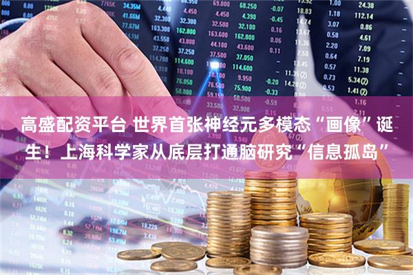 高盛配资平台 世界首张神经元多模态“画像”诞生！上海科学家从底层打通脑研究“信息孤岛”